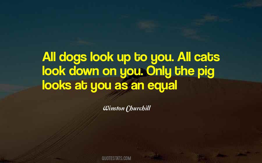 Look Up To You Quotes #1491874