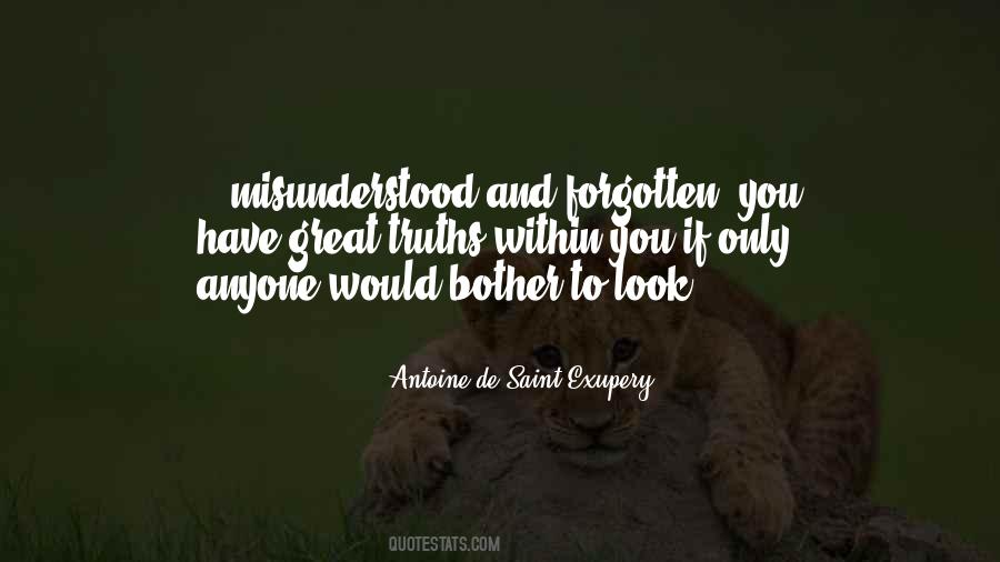 Look Within Quotes #146929 Look Within Quotes #146929