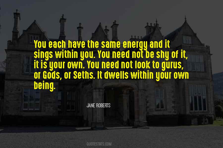 Look Within Quotes #244130 Look Within Quotes #244130