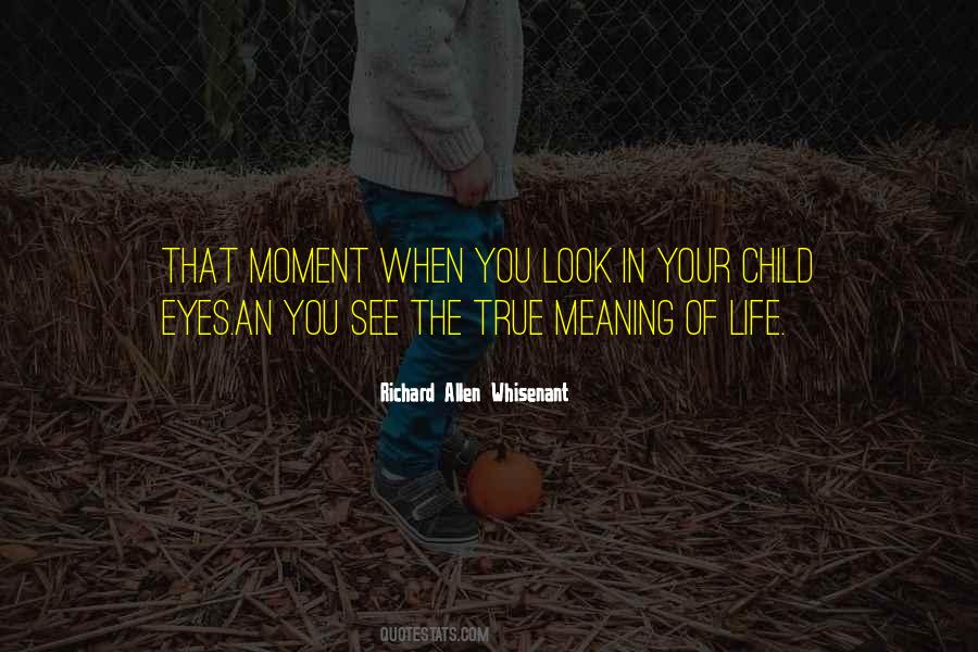 Look You In The Eyes Quotes #316960