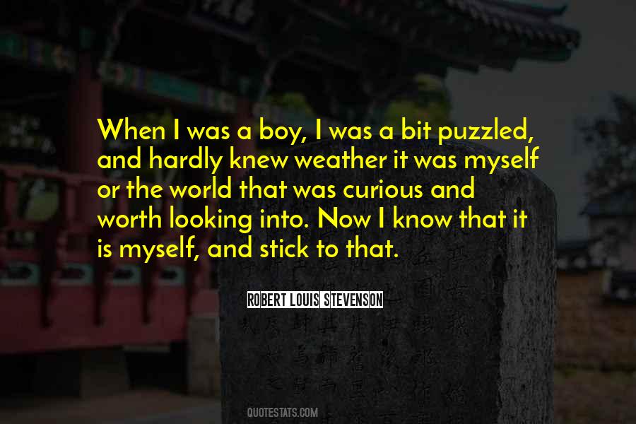 Looking Boy Quotes #745522