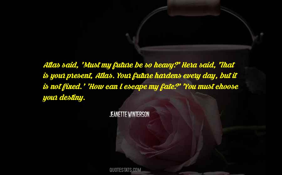 Quotes About Destiny Fate #293797
