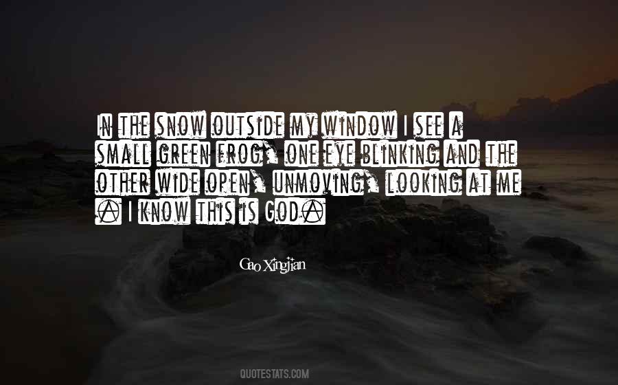 Looking Outside Quotes #420217