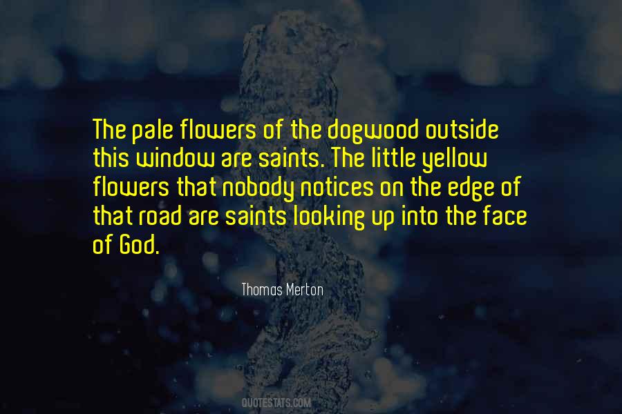 Looking Outside Quotes #94328
