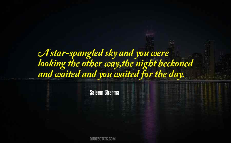 Looking Up At The Night Sky Quotes #1813437