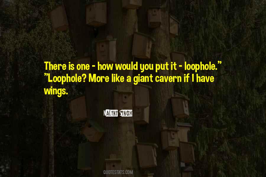 Loophole Quotes #567036