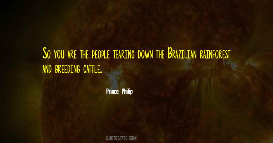Quotes About Tearing People Down #419149