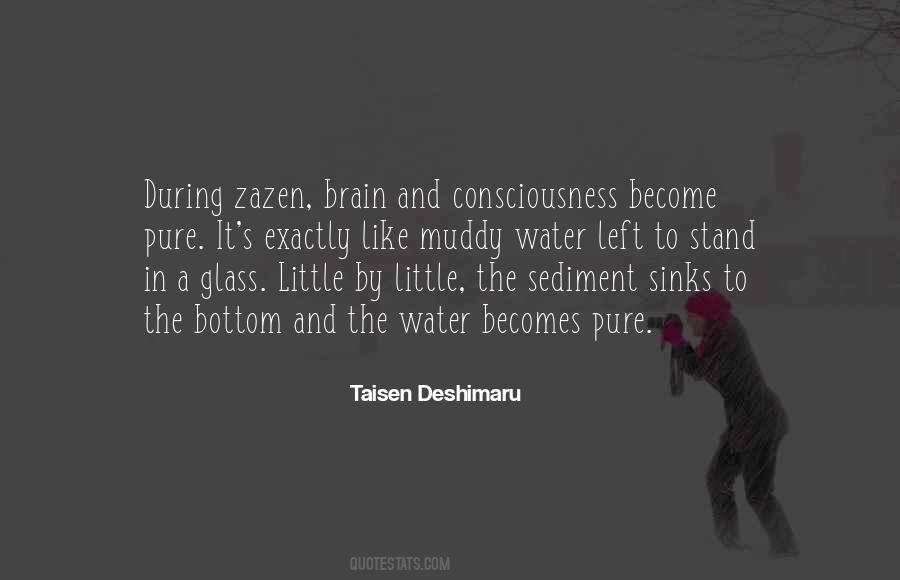 Quotes About Deshimaru #1019488