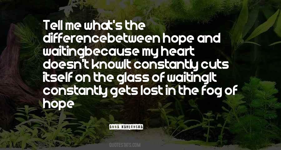 Lost And Hope Quotes #394016