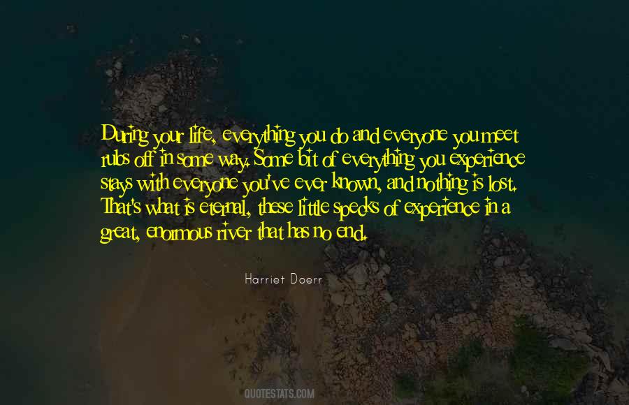 Lost Everything In Life Quotes #455826