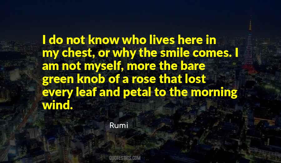 Lost In Your Smile Quotes #936696