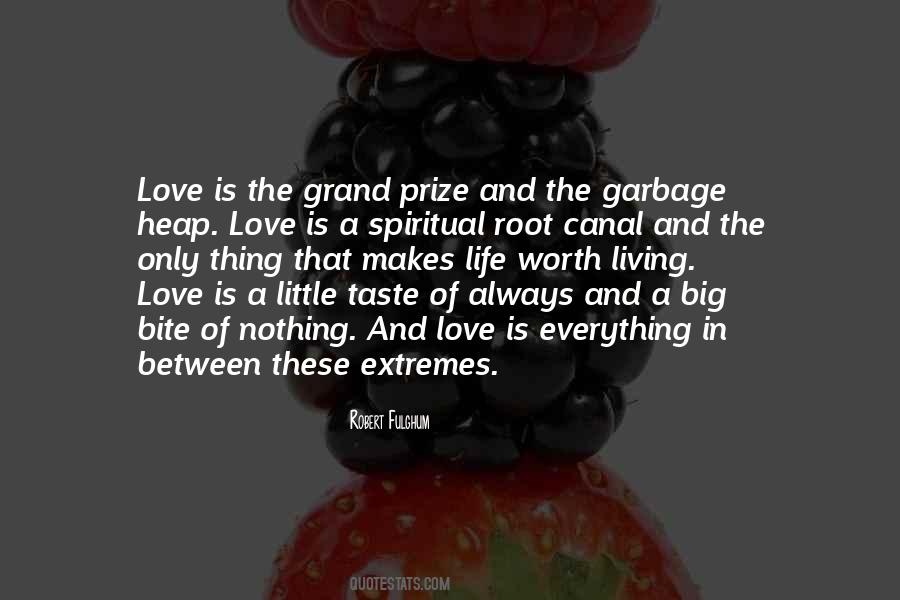 Love And Garbage Quotes #1124316