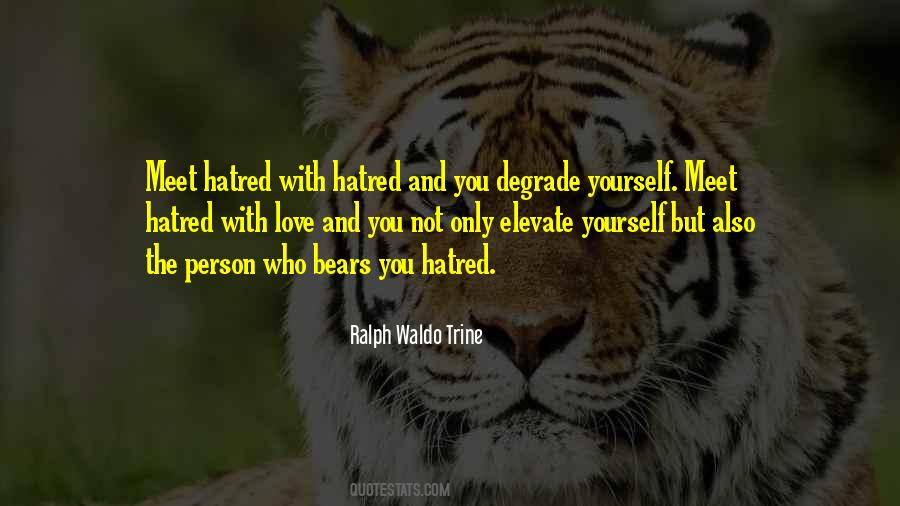 Love Bears Quotes #747100
