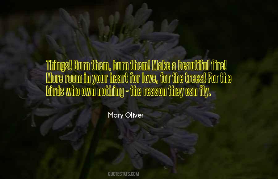 Love Beautiful Things Quotes #761335