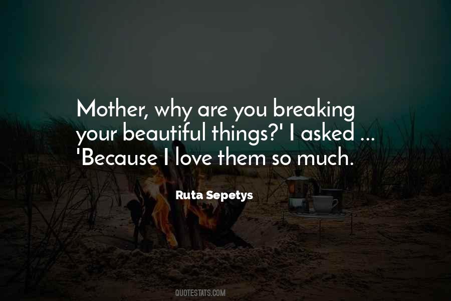 Love Beautiful Things Quotes #940736