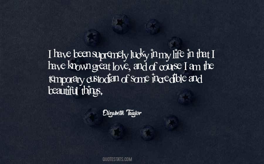 Love Beautiful Things Quotes #955056