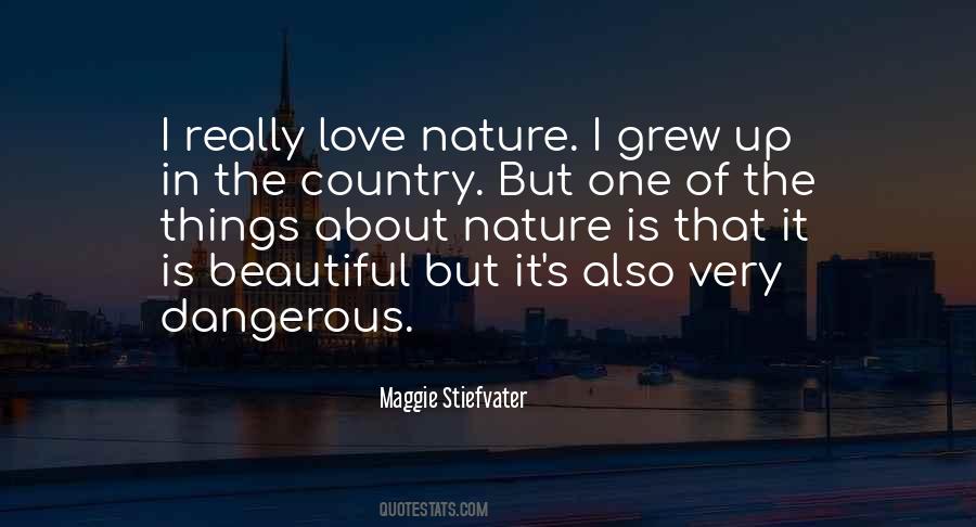 Love Beautiful Things Quotes #997994
