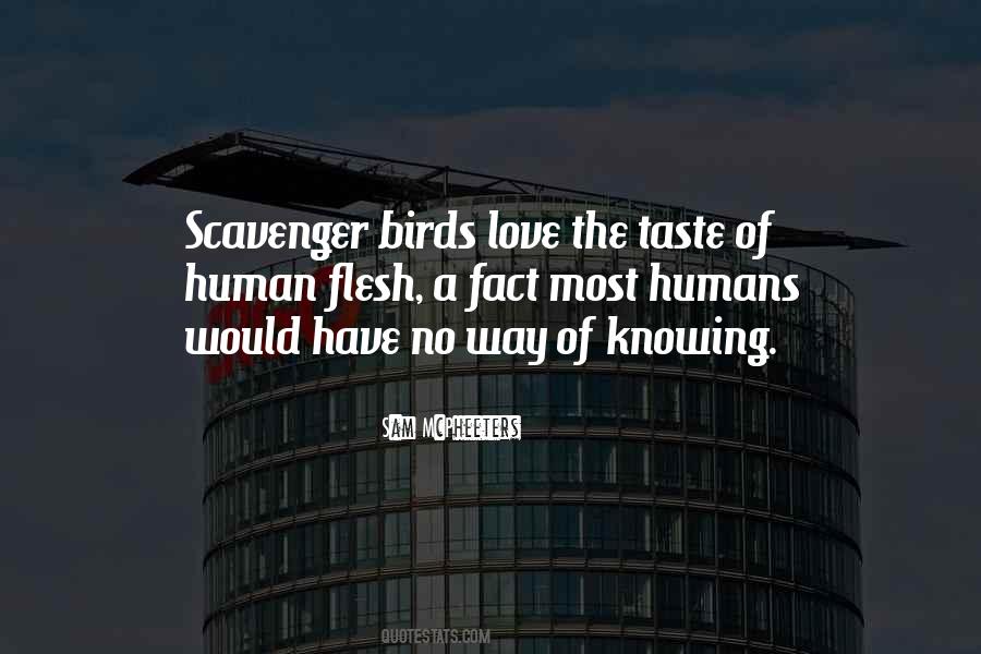 Love Birds Love Quotes #918511