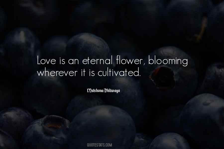 Love Blooming Quotes #1414756