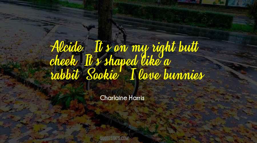 Love Bunnies Quotes #458103