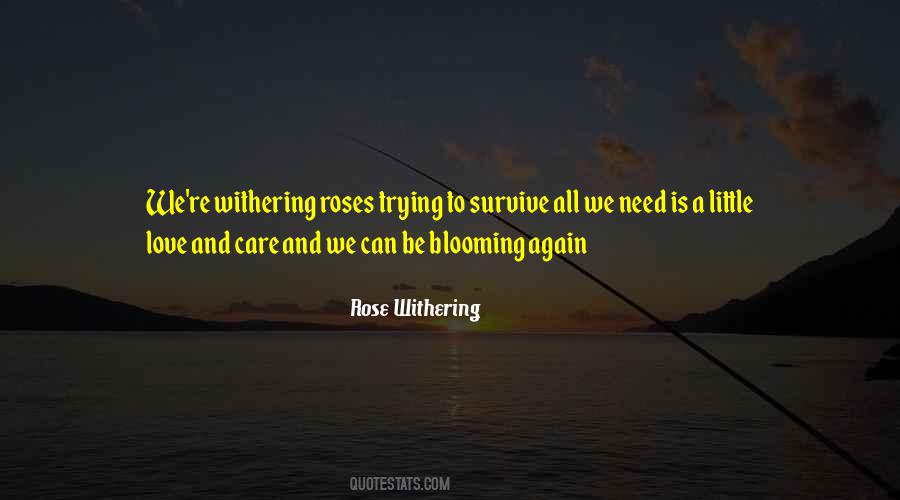 Love Can Survive Quotes #673795 Love Can Survive Quotes #673795