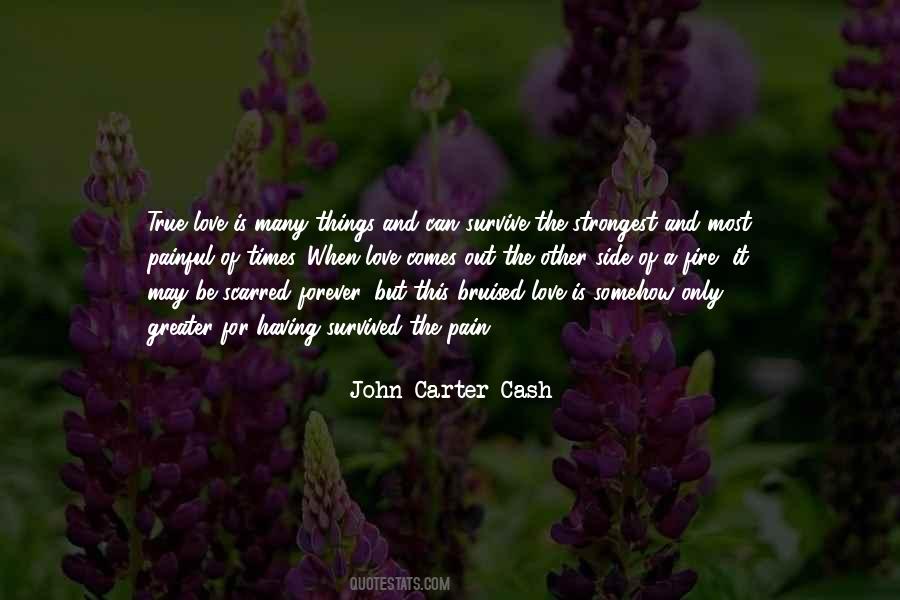Love Can Survive Quotes #903942
