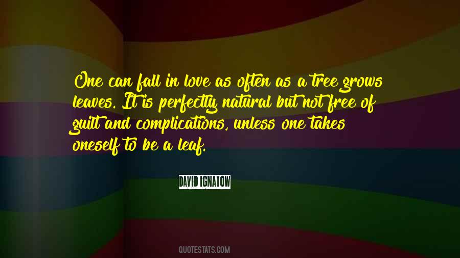 Love Complications Quotes #53212