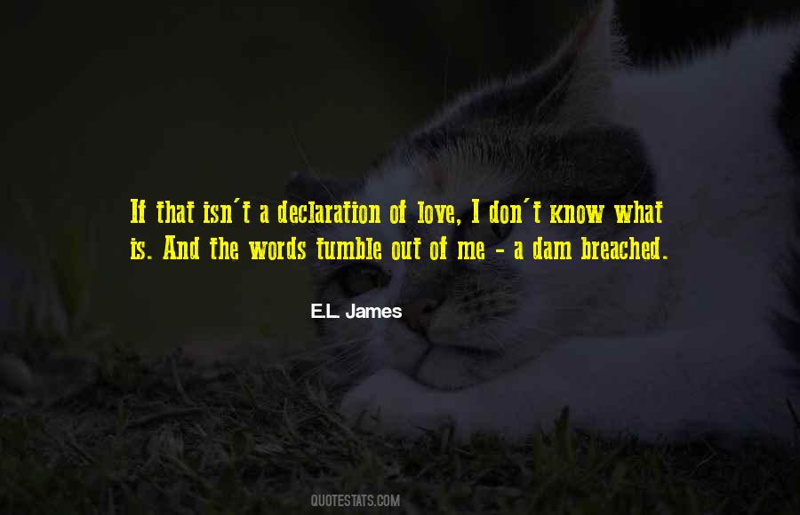 Love Declaration Quotes #1032344