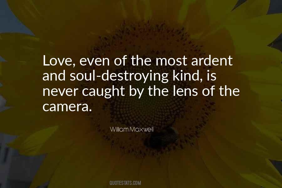 Love Destroying Quotes #253083