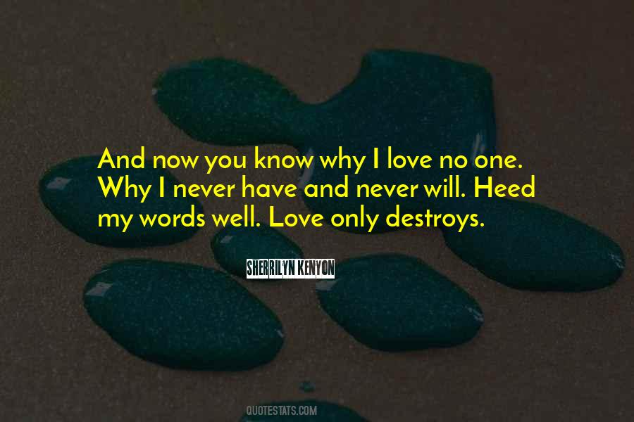Love Destroys Quotes #1630489