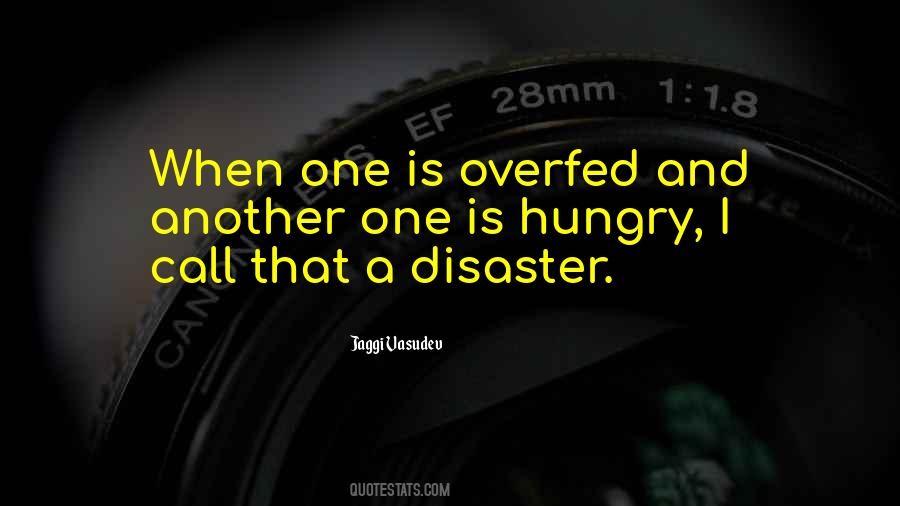 Love Disaster Quotes #335273