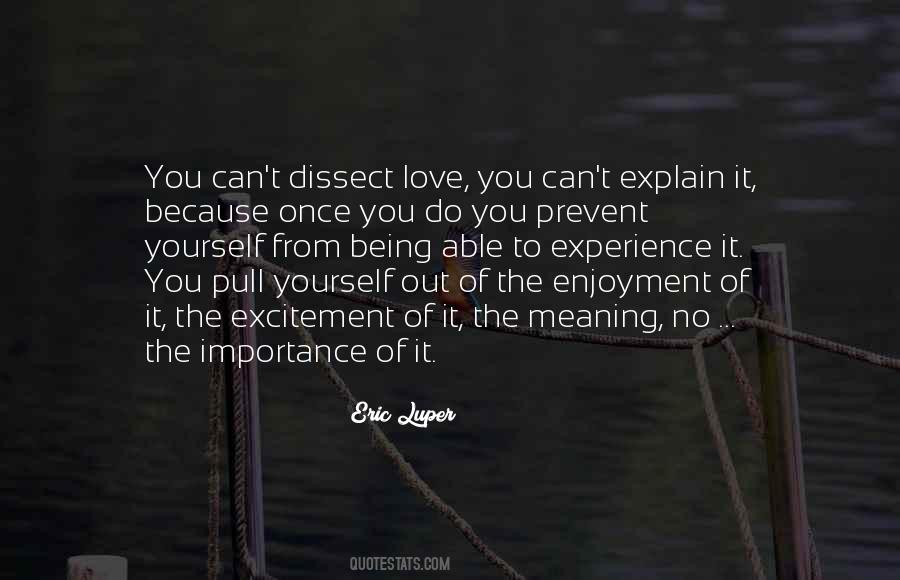 Love Excitement Quotes #766117