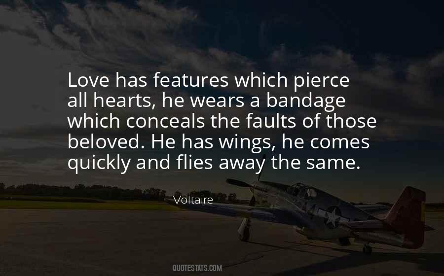 Love Flies Away Quotes #573897