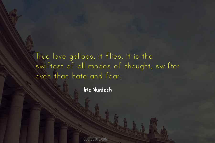 Love Flies Quotes #1375803
