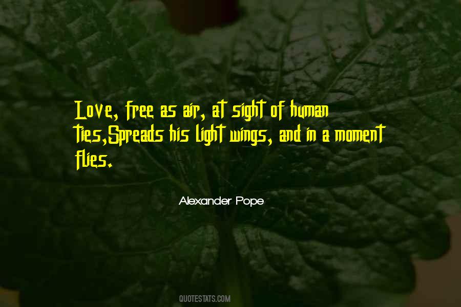 Love Flies Quotes #1556517