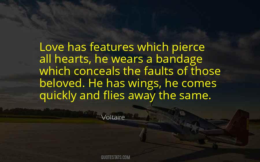 Love Flies Quotes #573897