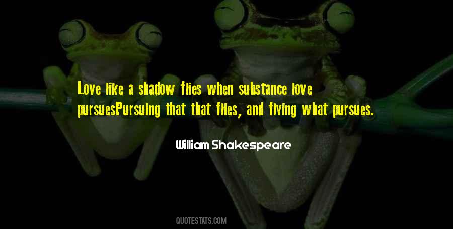 Love Flies Quotes #675105