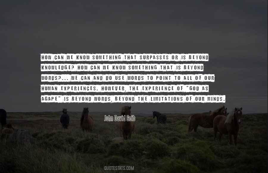 Love Has No Limitations Quotes #506892
