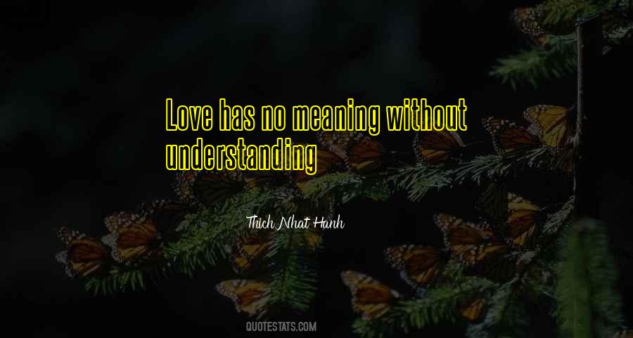 Love Has No Meaning Quotes #645568