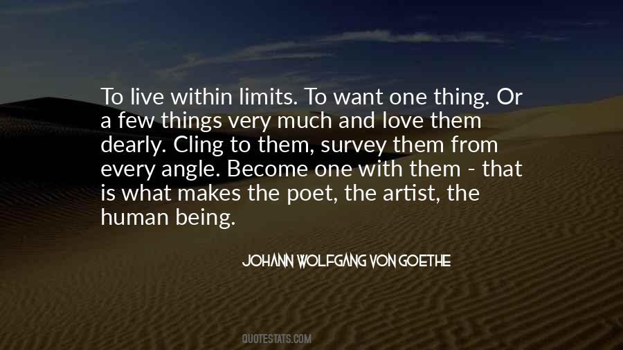 Love Have No Limits Quotes #220932