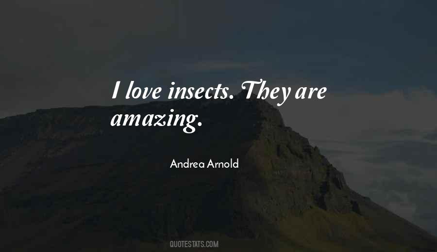 Love Insects Quotes #71666