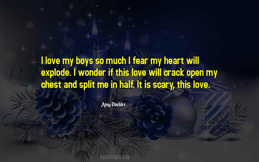 Love Is A Scary Thing Quotes #378818