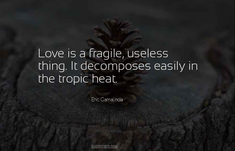 Love Is Fragile Quotes #1338288