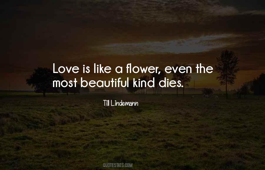 Love Is Like A Flower Quotes #147062