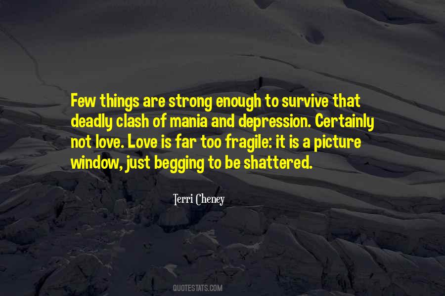 Love Is So Fragile Quotes #227717
