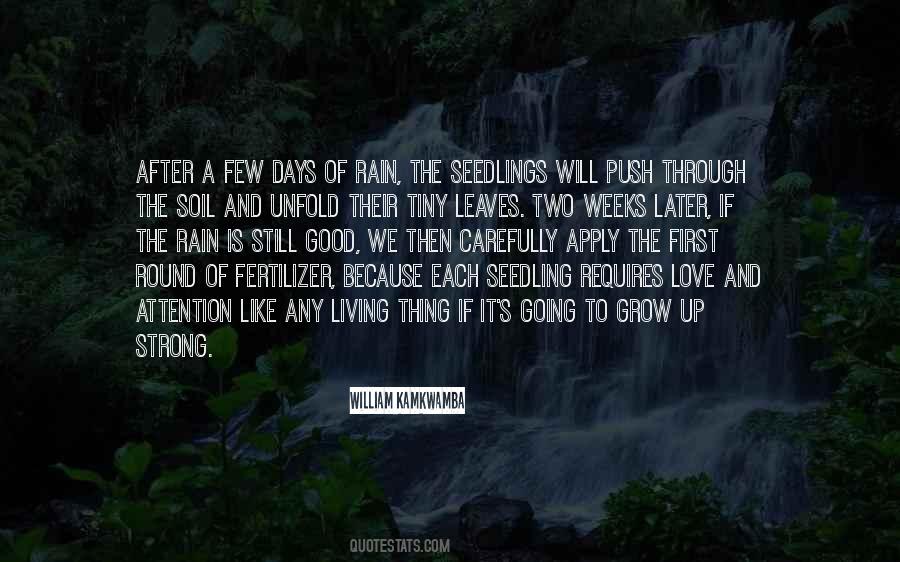 Love Like Rain Quotes #1696908
