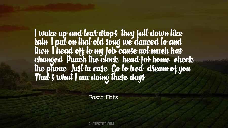 Love Like Rain Quotes #833102