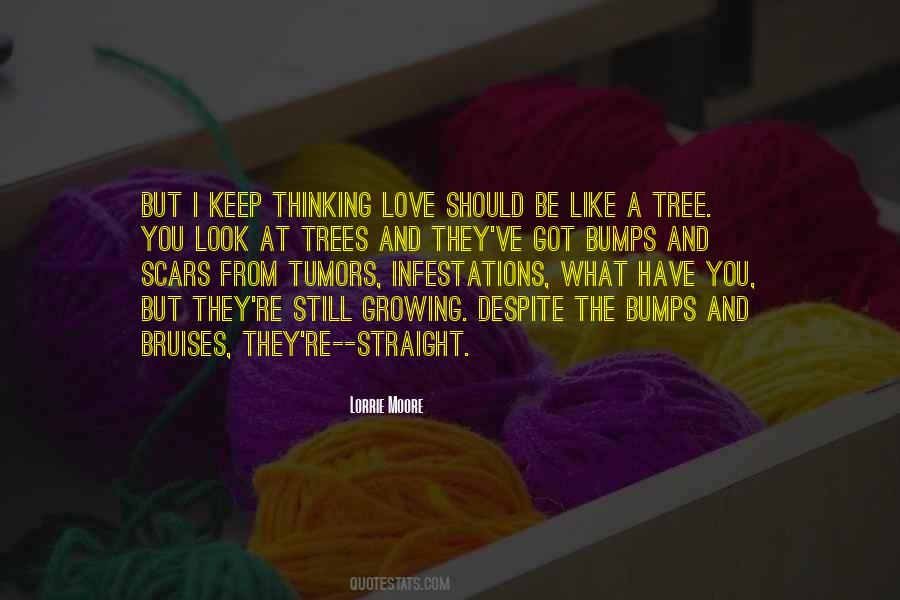 Love Like Tree Quotes #473474