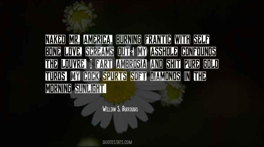 Love Louvre Quotes #124119