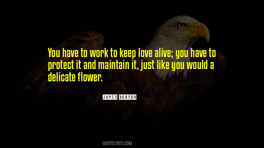 Love Maintain Quotes #189012